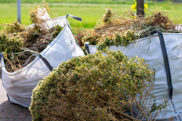 Best Hoarding Cleanup  in Holden Heights, FL