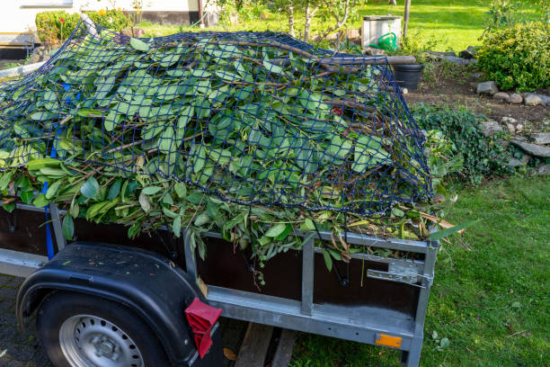 Best Commercial Junk Removal  in Holden Heights, FL
